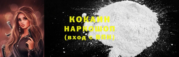 индика Новодвинск