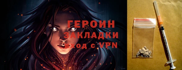 индика Новодвинск