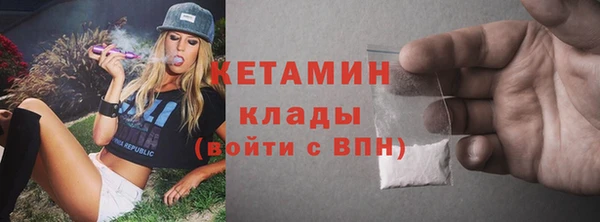 индика Новодвинск