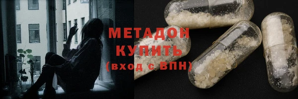 индика Новодвинск
