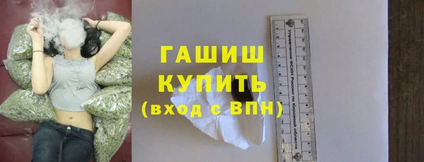 индика Новодвинск
