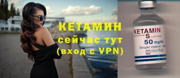 индика Новодвинск