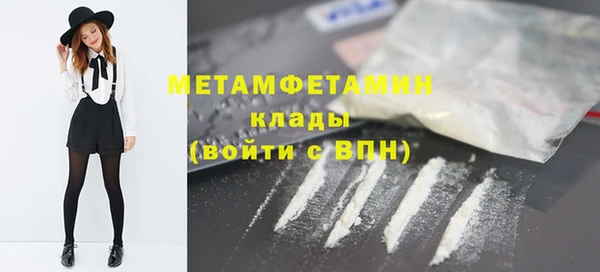 индика Новодвинск