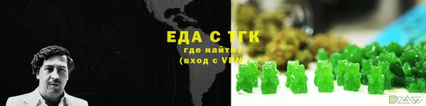 индика Новодвинск