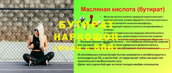 индика Новодвинск