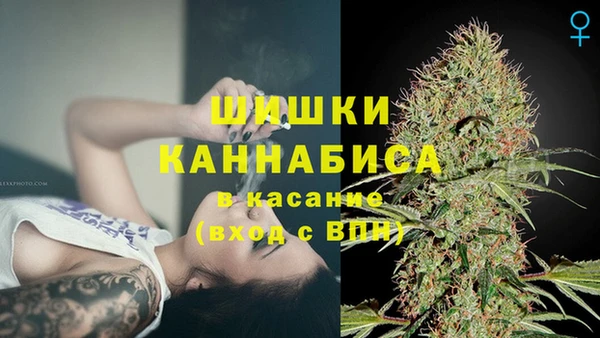 Альфа ПВП Новокубанск