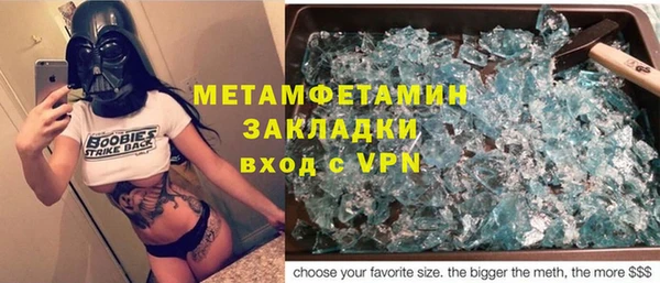 индика Новодвинск