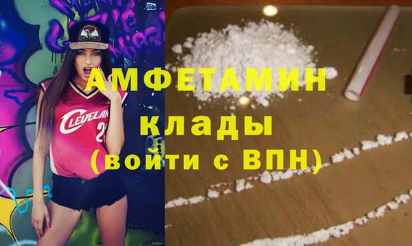 индика Новодвинск