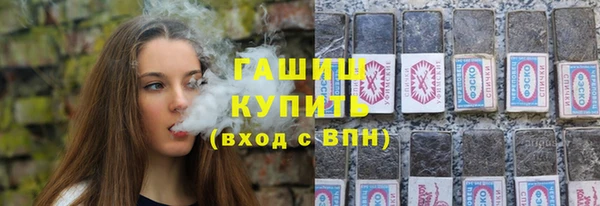 индика Новодвинск