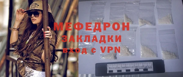 индика Новодвинск