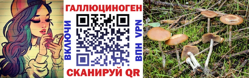 Псилоцибиновые грибы прущие грибы  Купить  Карпинск 